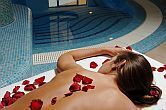 Wellness hotel Budapesttől 15 km-re Gödön - Spa Termál és Wellness Centrum Gödön