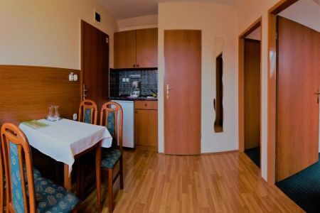 Apartman Sárváron - konyha - Sárvár Apartman hotel Viktória